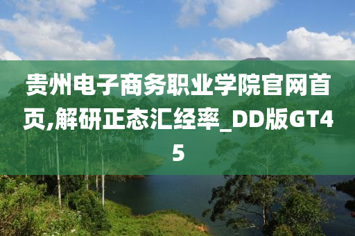 贵州电子商务职业学院官网首页,解研正态汇经率_DD版GT45