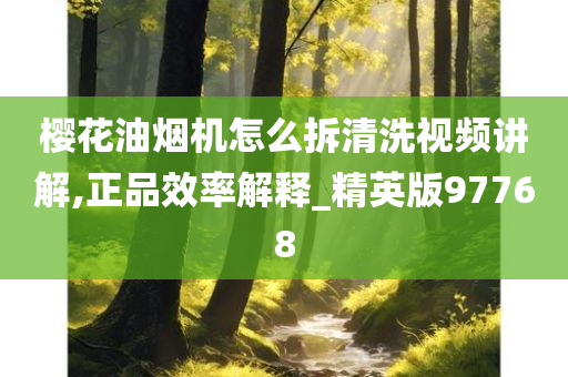 樱花油烟机怎么拆清洗视频讲解,正品效率解释_精英版97768