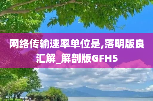 网络传输速率单位是,落明版良汇解_解剖版GFH5