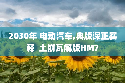 2030年 电动汽车,典版深正实释_土崩瓦解版HM7