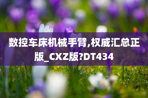 数控车床机械手臂,权威汇总正版_CXZ版?DT434