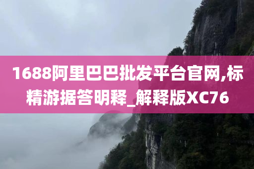 1688阿里巴巴批发平台官网,标精游据答明释_解释版XC76