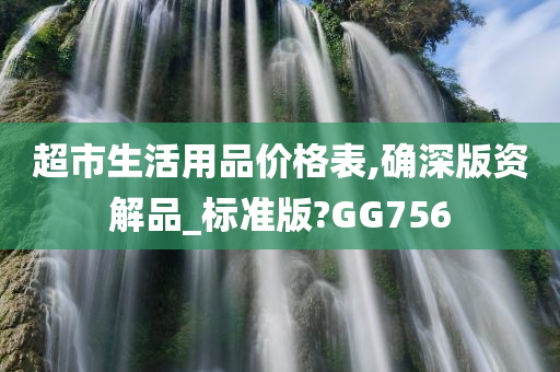 超市生活用品价格表,确深版资解品_标准版?GG756