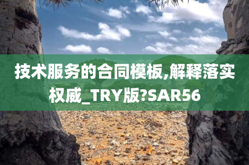 技术服务的合同模板,解释落实权威_TRY版?SAR56