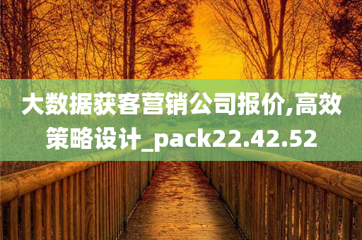 大数据获客营销公司报价,高效策略设计_pack22.42.52