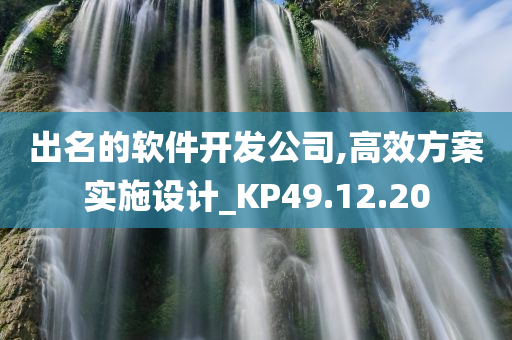 出名的软件开发公司,高效方案实施设计_KP49.12.20