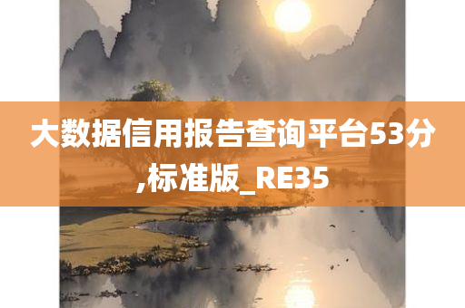 大数据信用报告查询平台53分,标准版_RE35