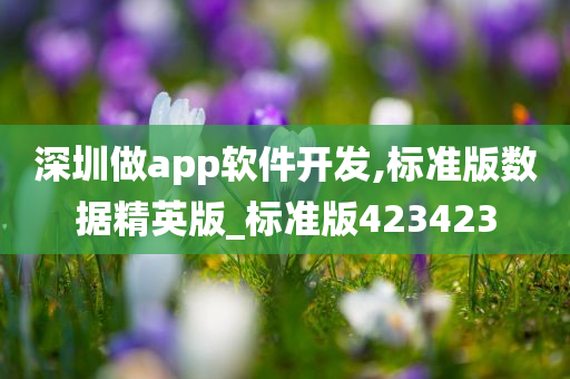 深圳做app软件开发,标准版数据精英版_标准版423423