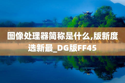 图像处理器简称是什么,版新度选新最_DG版FF45