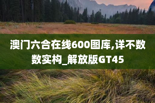 澳门六合在线600图库,详不数数实构_解放版GT45