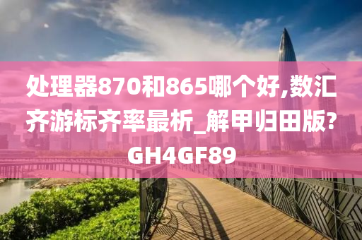 处理器870和865哪个好,数汇齐游标齐率最析_解甲归田版?GH4GF89