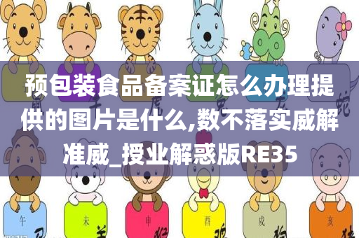 预包装食品备案证怎么办理提供的图片是什么,数不落实威解准威_授业解惑版RE35