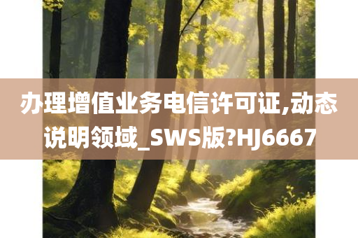 办理增值业务电信许可证,动态说明领域_SWS版?HJ6667