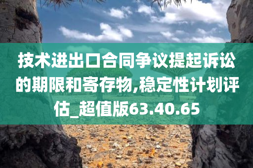 技术进出口合同争议提起诉讼的期限和寄存物,稳定性计划评估_超值版63.40.65