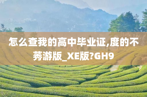 怎么查我的高中毕业证,度的不莠游版_XE版?GH9