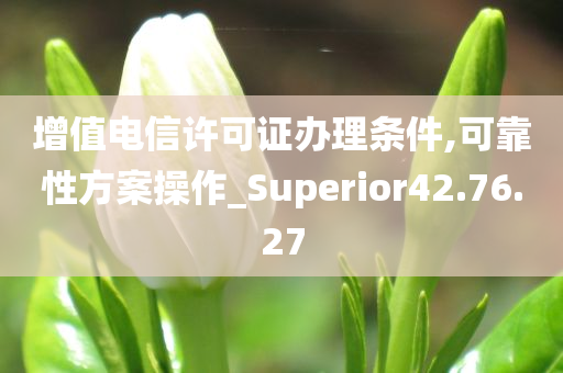 增值电信许可证办理条件,可靠性方案操作_Superior42.76.27