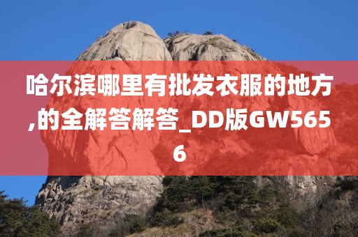 哈尔滨哪里有批发衣服的地方,的全解答解答_DD版GW5656