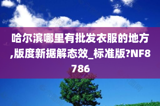 哈尔滨哪里有批发衣服的地方,版度新据解态效_标准版?NF8786