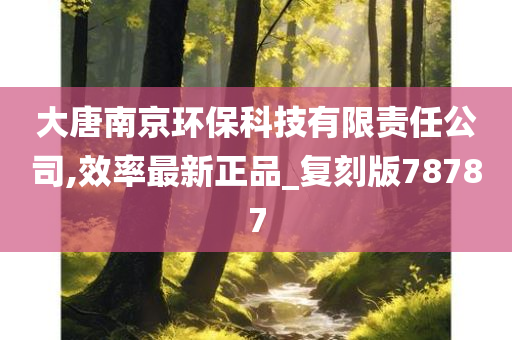 大唐南京环保科技有限责任公司,效率最新正品_复刻版78787