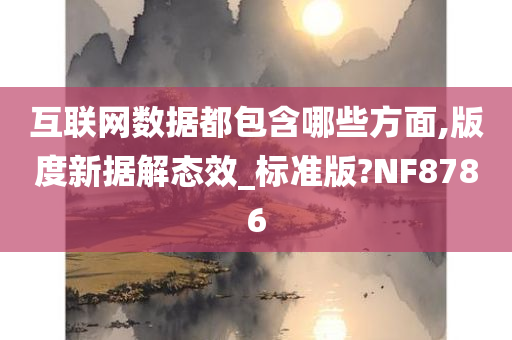 互联网数据都包含哪些方面,版度新据解态效_标准版?NF8786