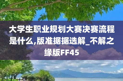 大学生职业规划大赛决赛流程是什么,版准据据选解_不解之缘版FF45