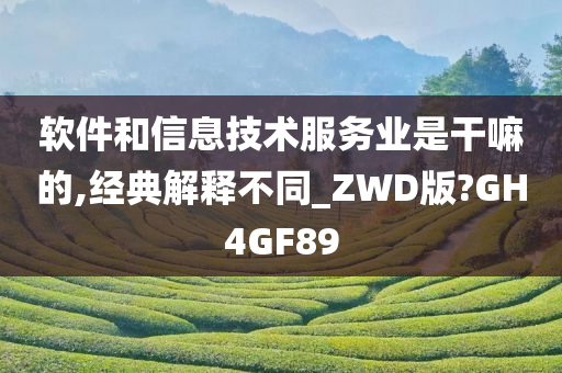 软件和信息技术服务业是干嘛的,经典解释不同_ZWD版?GH4GF89