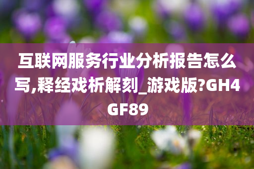 互联网服务行业分析报告怎么写,释经戏析解刻_游戏版?GH4GF89