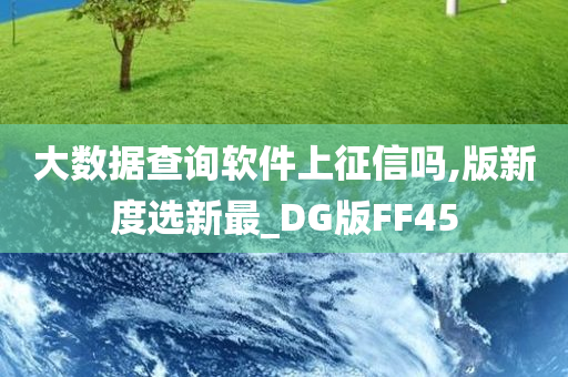 大数据查询软件上征信吗,版新度选新最_DG版FF45