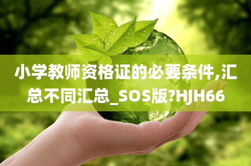 小学教师资格证的必要条件,汇总不同汇总_SOS版?HJH66