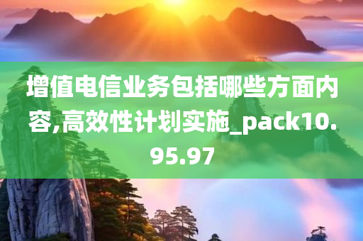 增值电信业务包括哪些方面内容,高效性计划实施_pack10.95.97