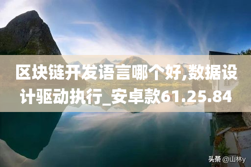 区块链开发语言哪个好,数据设计驱动执行_安卓款61.25.84