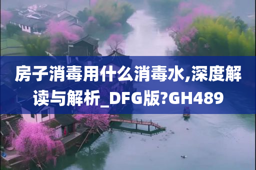 房子消毒用什么消毒水,深度解读与解析_DFG版?GH489