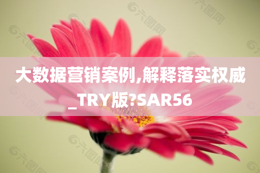 大数据营销案例,解释落实权威_TRY版?SAR56