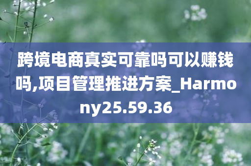 跨境电商真实可靠吗可以赚钱吗,项目管理推进方案_Harmony25.59.36