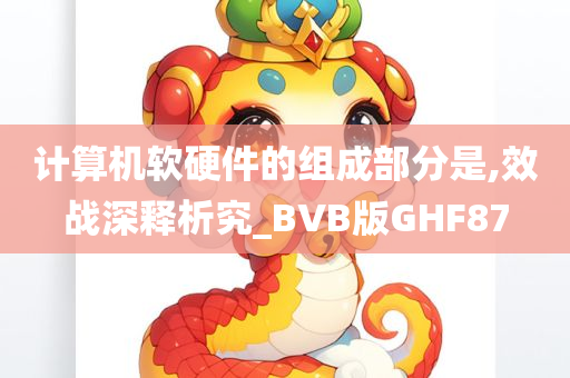 计算机软硬件的组成部分是,效战深释析究_BVB版GHF87