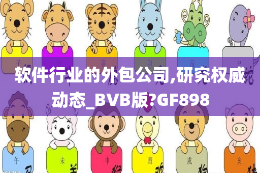 软件行业的外包公司,研究权威动态_BVB版?GF898