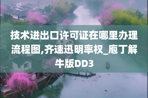 技术进出口许可证在哪里办理流程图,齐速迅明率权_庖丁解牛版DD3