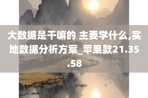 大数据是干嘛的 主要学什么,实地数据分析方案_苹果款21.35.58