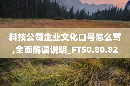 科技公司企业文化口号怎么写,全面解读说明_FT50.80.82