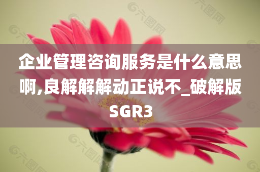 企业管理咨询服务是什么意思啊,良解解解动正说不_破解版SGR3