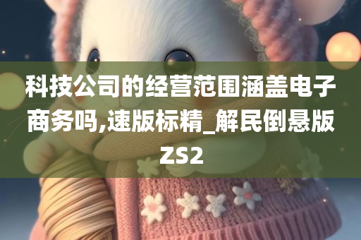 科技公司的经营范围涵盖电子商务吗,速版标精_解民倒悬版ZS2