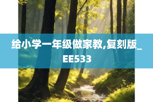 给小学一年级做家教,复刻版_EE533