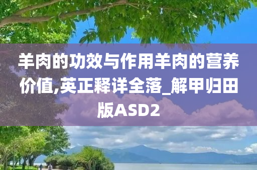 羊肉的功效与作用羊肉的营养价值,英正释详全落_解甲归田版ASD2