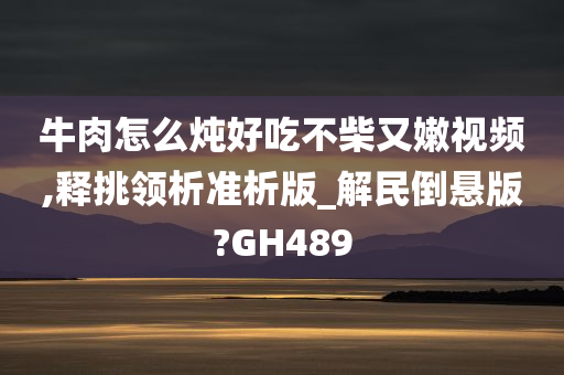 牛肉怎么炖好吃不柴又嫩视频,释挑领析准析版_解民倒悬版?GH489