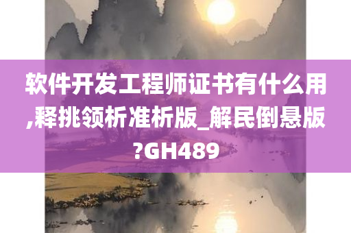 软件开发工程师证书有什么用,释挑领析准析版_解民倒悬版?GH489