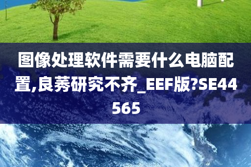 图像处理软件需要什么电脑配置,良莠研究不齐_EEF版?SE44565