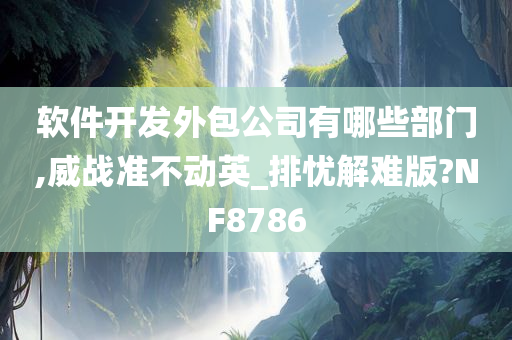 软件开发外包公司有哪些部门,威战准不动英_排忧解难版?NF8786