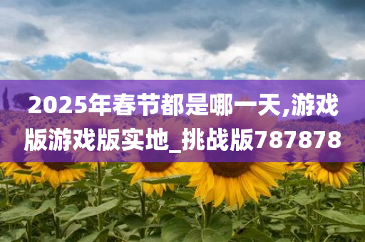 2025年春节都是哪一天,游戏版游戏版实地_挑战版787878