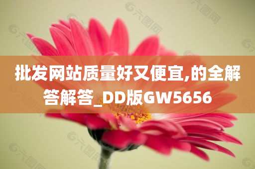 批发网站质量好又便宜,的全解答解答_DD版GW5656