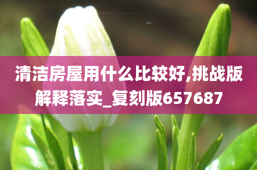 清洁房屋用什么比较好,挑战版解释落实_复刻版657687